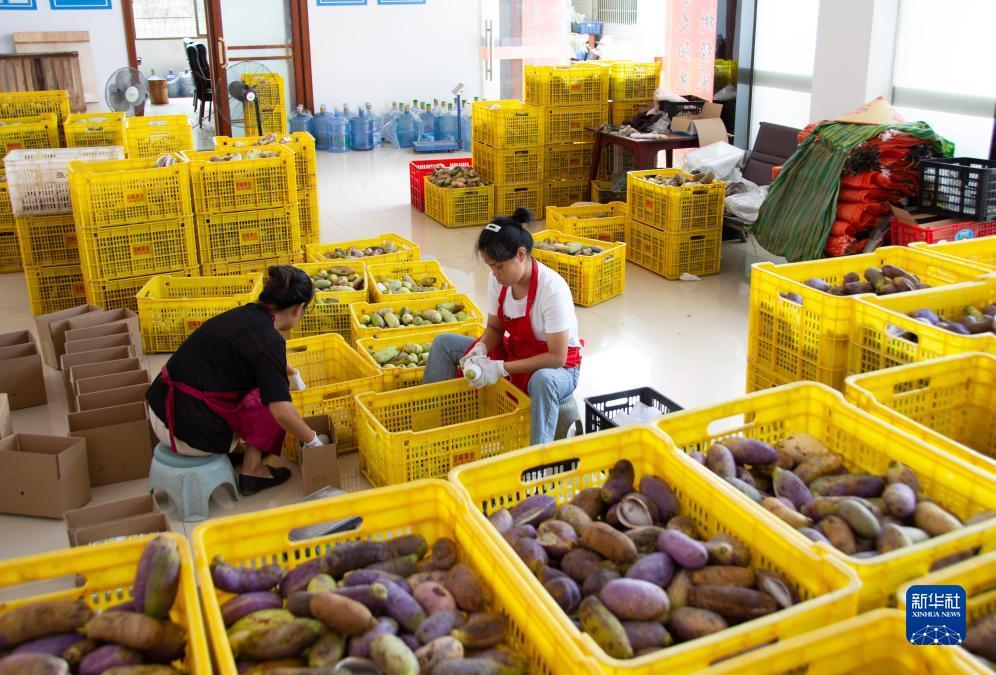 微赢游戏官网